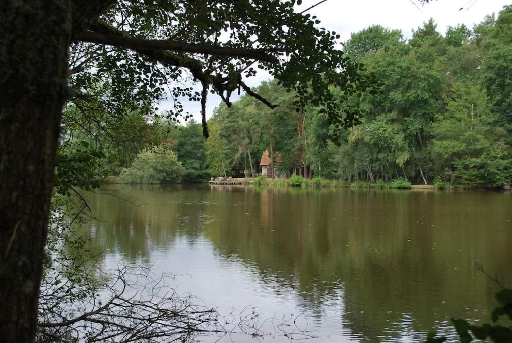 Paradis Perdu En Sologne Avec Plage Privee Villeny Luaran gambar