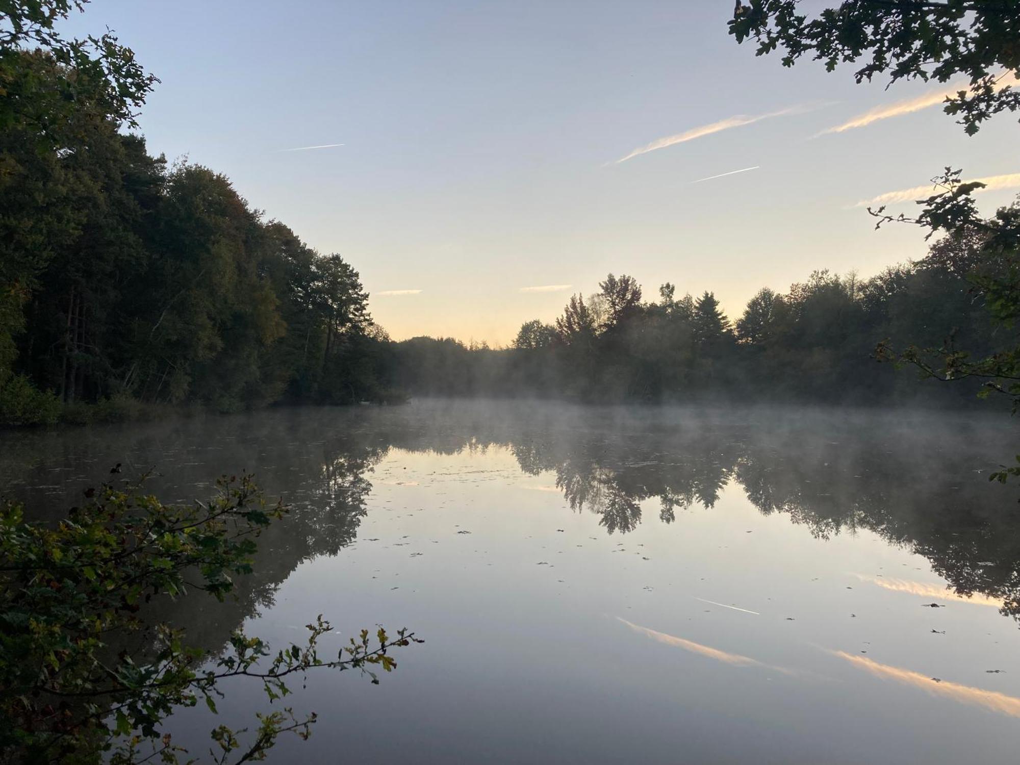 Paradis Perdu En Sologne Avec Plage Privee Villeny Luaran gambar